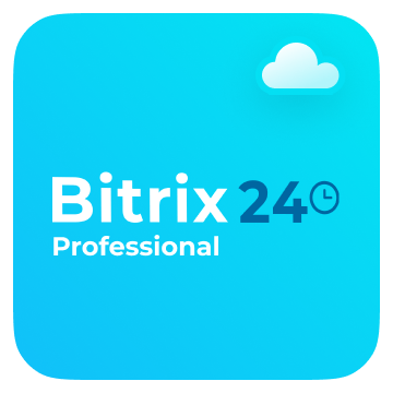 Bitrix24 Professional 